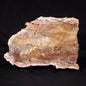 STROMATOLITE MICROBIAL MAT, Archean, Dresser Formation, Australia ZDF020