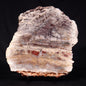 STROMATOLITE MICROBIAL MAT, Archean, Dresser Formation, Australia ZDF022