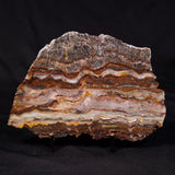 STROMATOLITE MICROBIAL MAT, Archean, Dresser Formation, Australia ZDF023