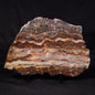 STROMATOLITE MICROBIAL MAT, Archean, Dresser Formation, Australia ZDF023