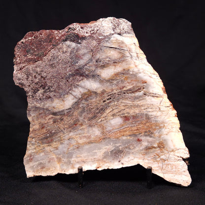 STROMATOLITE MICROBIAL MAT, Archean, Dresser Formation, Australia ZDF024