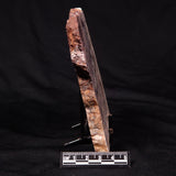 STROMATOLITE MICROBIAL MAT, Archean, Dresser Formation, Australia ZDF024