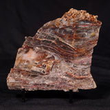 STROMATOLITE MICROBIAL MAT, Archean, Dresser Formation, Australia ZDF026