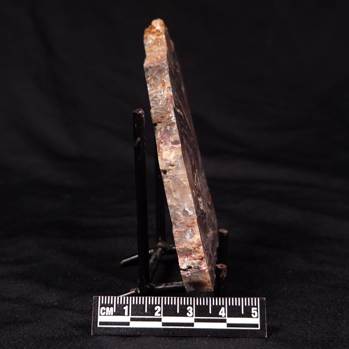 STROMATOLITE MICROBIAL MAT, Archean, Dresser Formation, Australia ZDF026