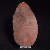 ACACIELLA AUSTRALICA STROMATOLITE, Proterozoic, Australia ZAA002