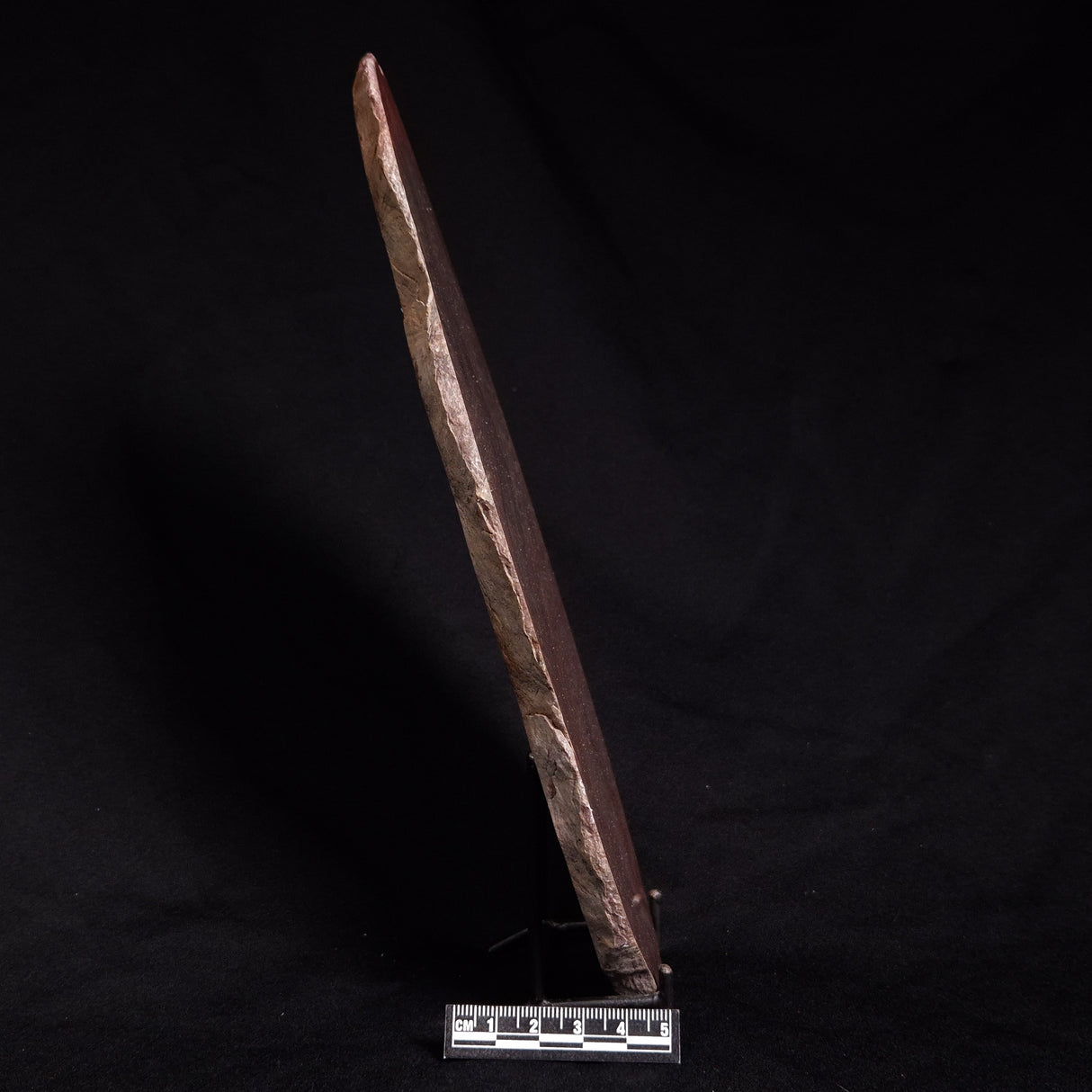 ACACIELLA AUSTRALICA STROMATOLITE, Proterozoic, Australia ZAA002