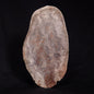 ACACIELLA AUSTRALICA STROMATOLITE, Proterozoic, Australia ZAA006