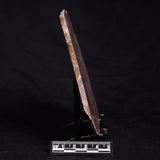 ACACIELLA AUSTRALICA STROMATOLITE, Proterozoic, Australia ZAA011