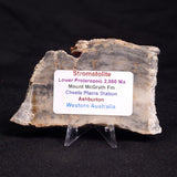 MOUNT MCGRATH STROMATOLITE, Lower Proterozoic, Australia ZMG018