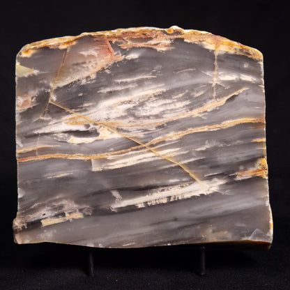MOUNT MCGRATH STROMATOLITE, Lower Proterozoic, Australia ZMG025