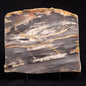 MOUNT MCGRATH STROMATOLITE, Lower Proterozoic, Australia ZMG025