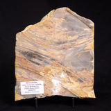 MOUNT MCGRATH STROMATOLITE, Lower Proterozoic, Australia ZMG026