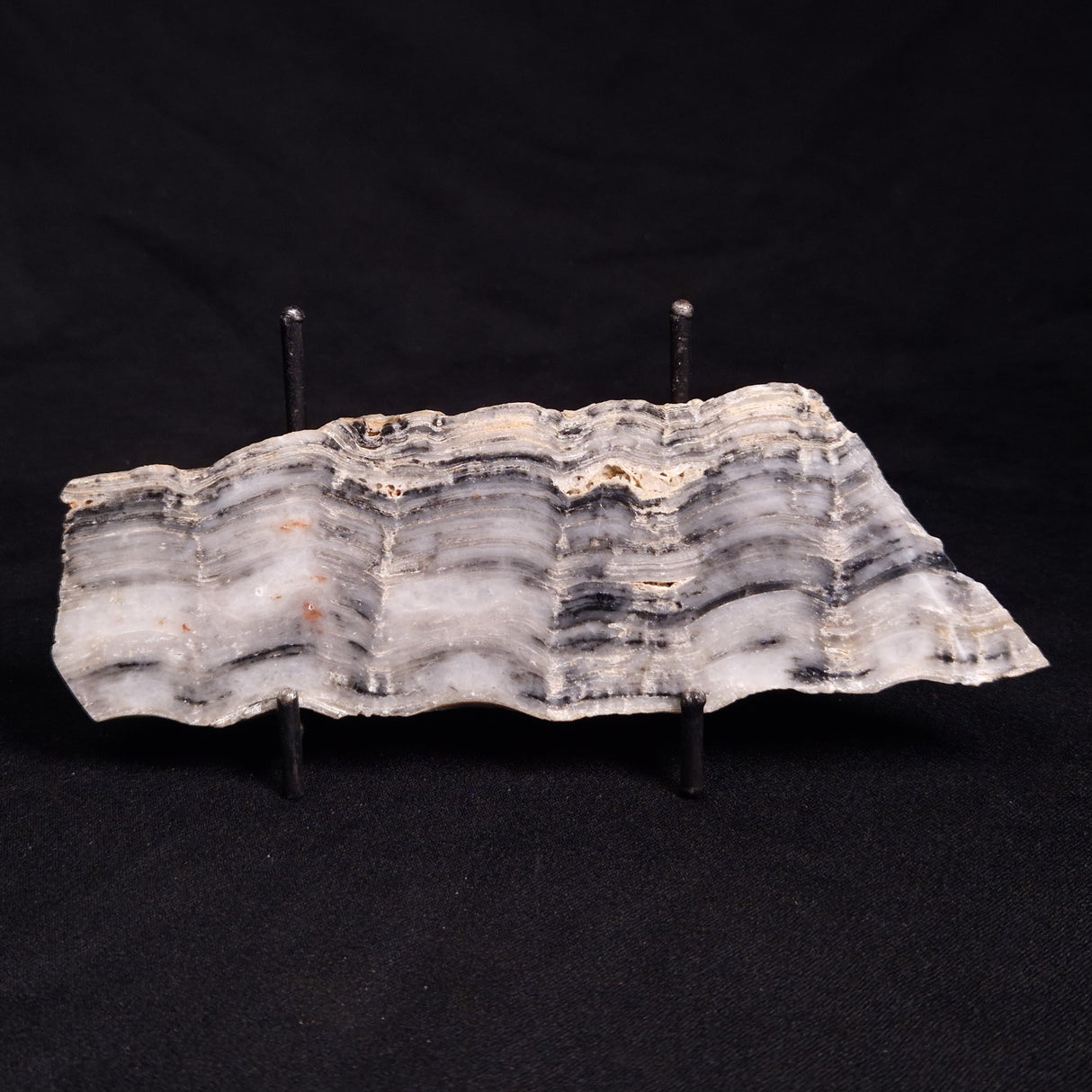 MOUNT MCGRATH STROMATOLITE, Lower Proterozoic, Australia ZMG029
