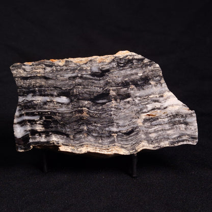 MOUNT MCGRATH STROMATOLITE, Lower Proterozoic, Australia ZMG030