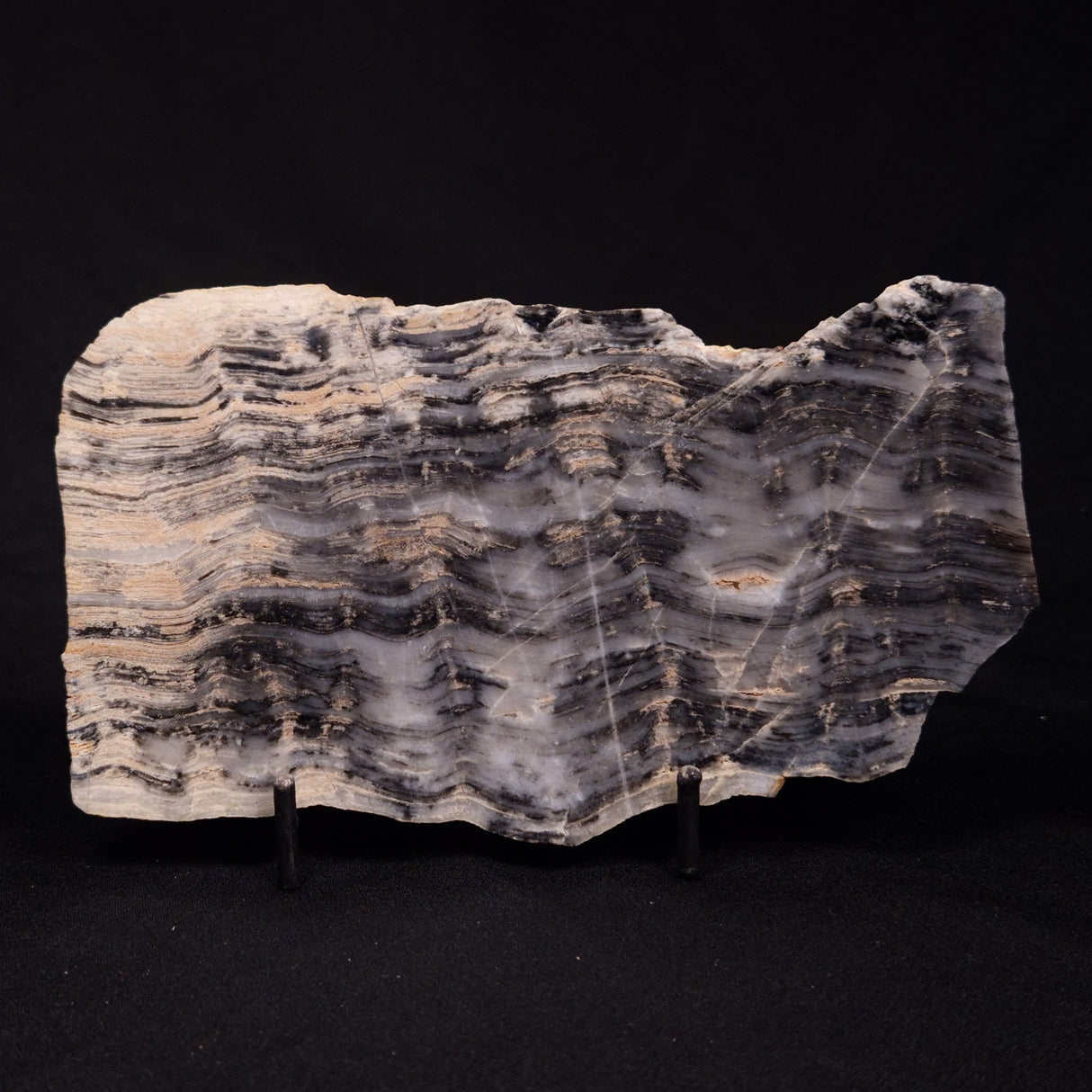 MOUNT MCGRATH STROMATOLITE, Lower Proterozoic, Australia ZMG033