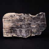 MOUNT MCGRATH STROMATOLITE, Lower Proterozoic, Australia ZMG033