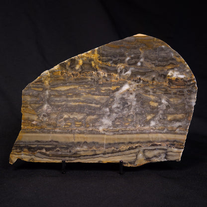 STROMATOLITE, Duck Creek, Lower Proterozoic, Australia ZDC014