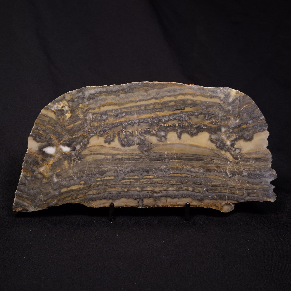 STROMATOLITE, Duck Creek, Lower Proterozoic, Australia ZDC017