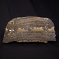 STROMATOLITE, Duck Creek, Lower Proterozoic, Australia ZDC017
