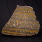 STROMATOLITE, Duck Creek, Lower Proterozoic, Australia ZDC018