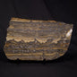 STROMATOLITE, Duck Creek, Lower Proterozoic, Australia ZDC019