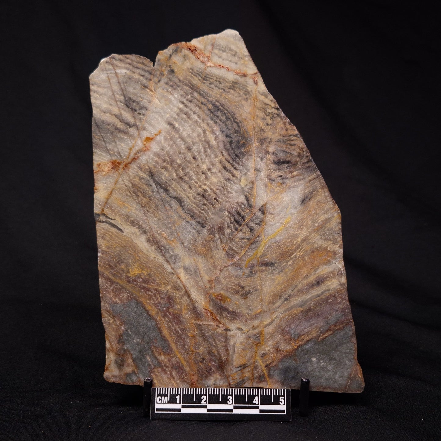 STROMATOLITE, Archean, Australia ZSL013