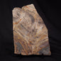 STROMATOLITE, Archean, Australia ZSL013