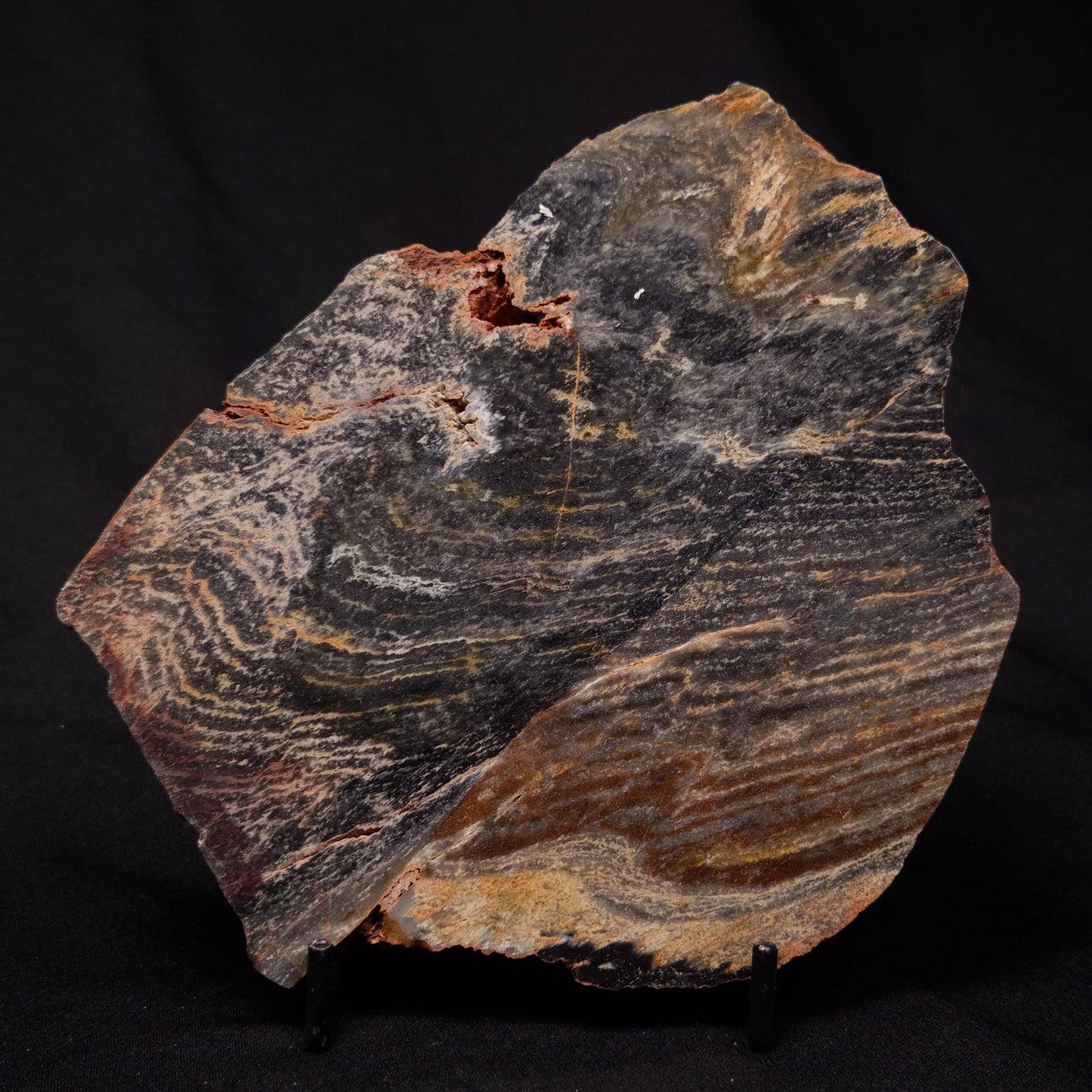 STROMATOLITE, Archean, Australia ZSL014