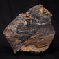 STROMATOLITE, Archean, Australia ZSL014
