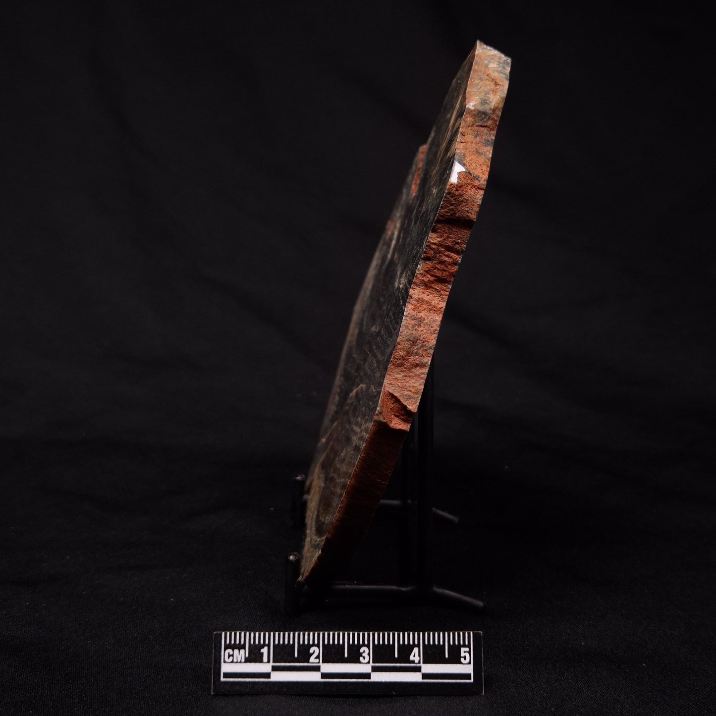 STROMATOLITE, Archean, Australia ZSL014