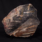 STROMATOLITE, Archean, Australia ZSL015