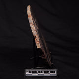 STROMATOLITE, Archean, Australia ZSL015