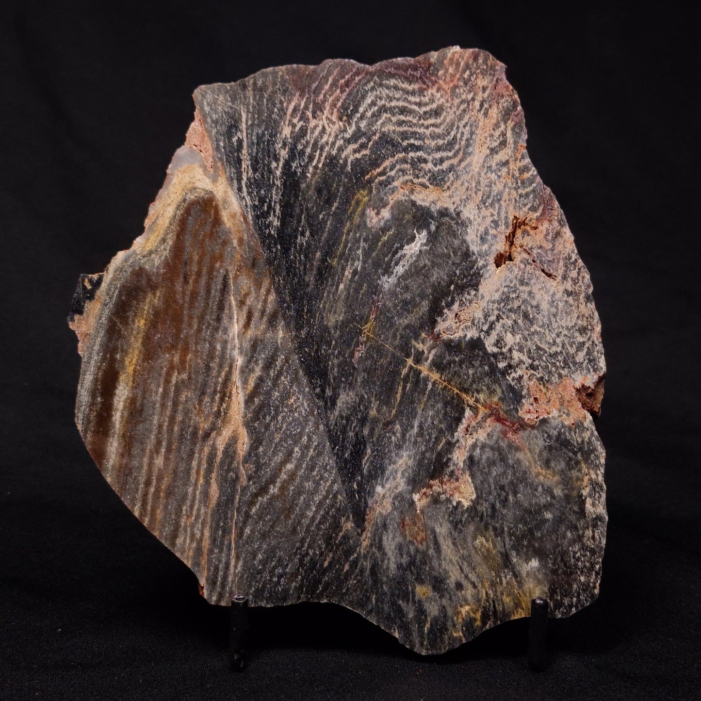 STROMATOLITE, Archean, Australia ZSL016