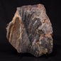 STROMATOLITE, Archean, Australia ZSL016