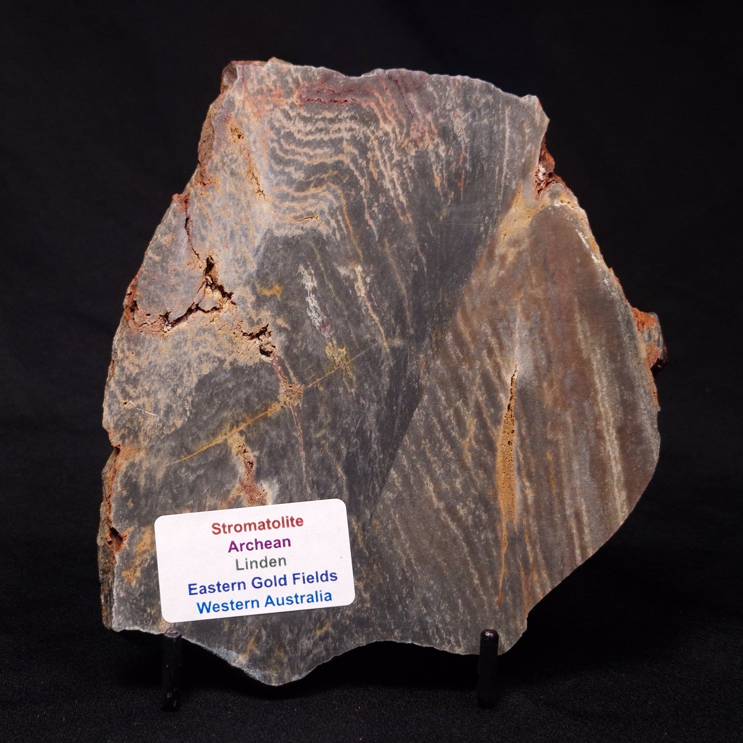 STROMATOLITE, Archean, Australia ZSL016