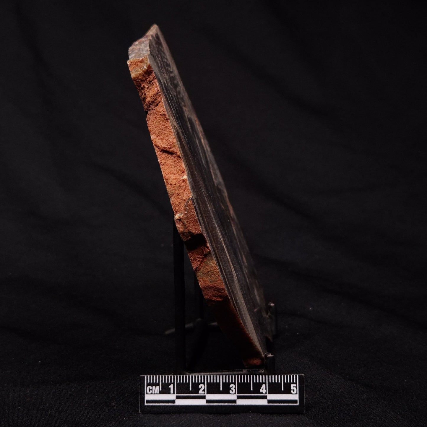 STROMATOLITE, Archean, Australia ZSL016