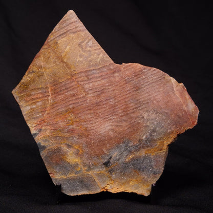 STROMATOLITE, Archean, Australia ZSL017