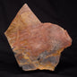 STROMATOLITE, Archean, Australia ZSL017