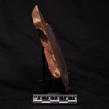 STROMATOLITE, Archean, Australia ZSL018