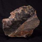 STROMATOLITE, Archean, Australia ZSL019