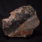STROMATOLITE, Archean, Australia ZSL019