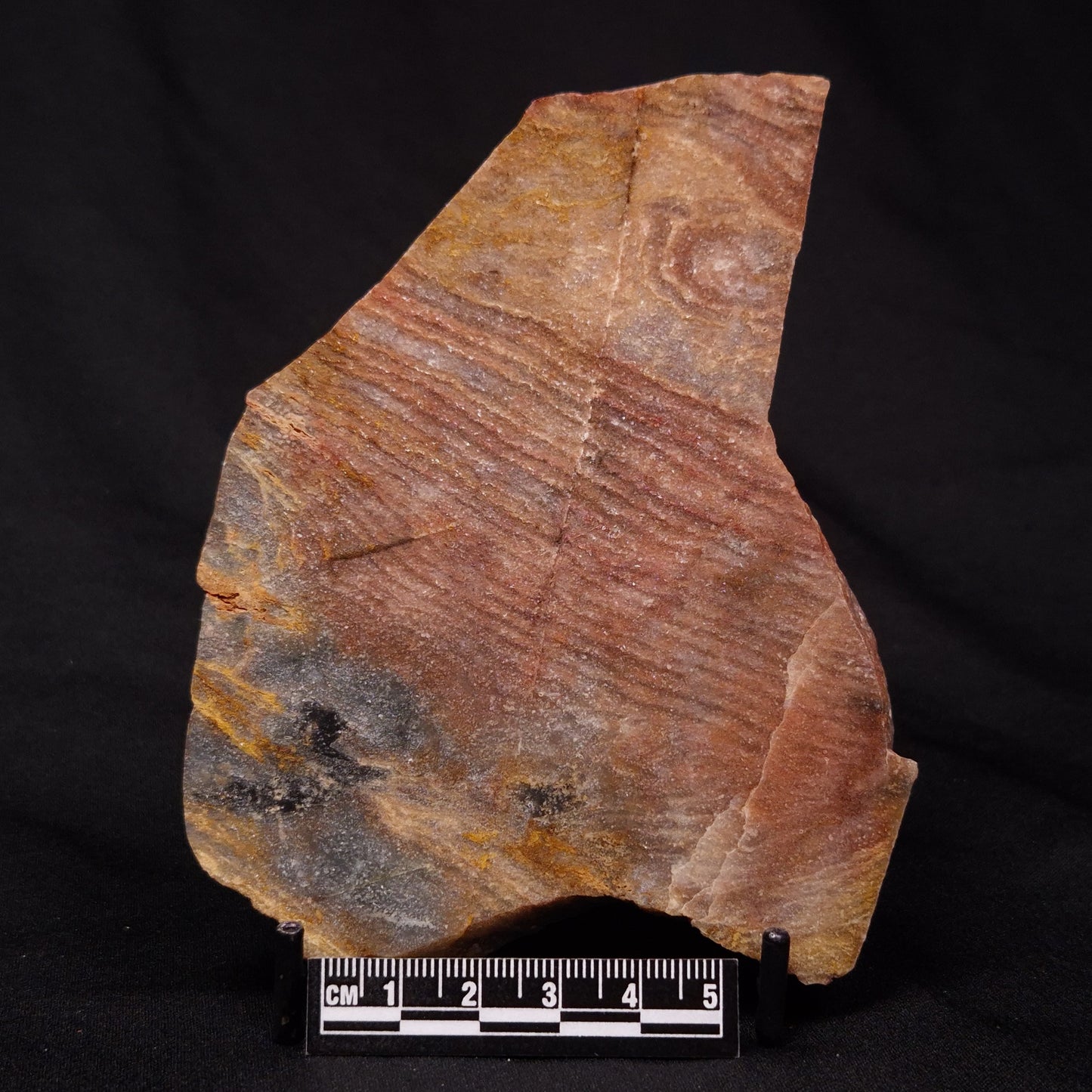 STROMATOLITE, Archean, Australia ZSL020