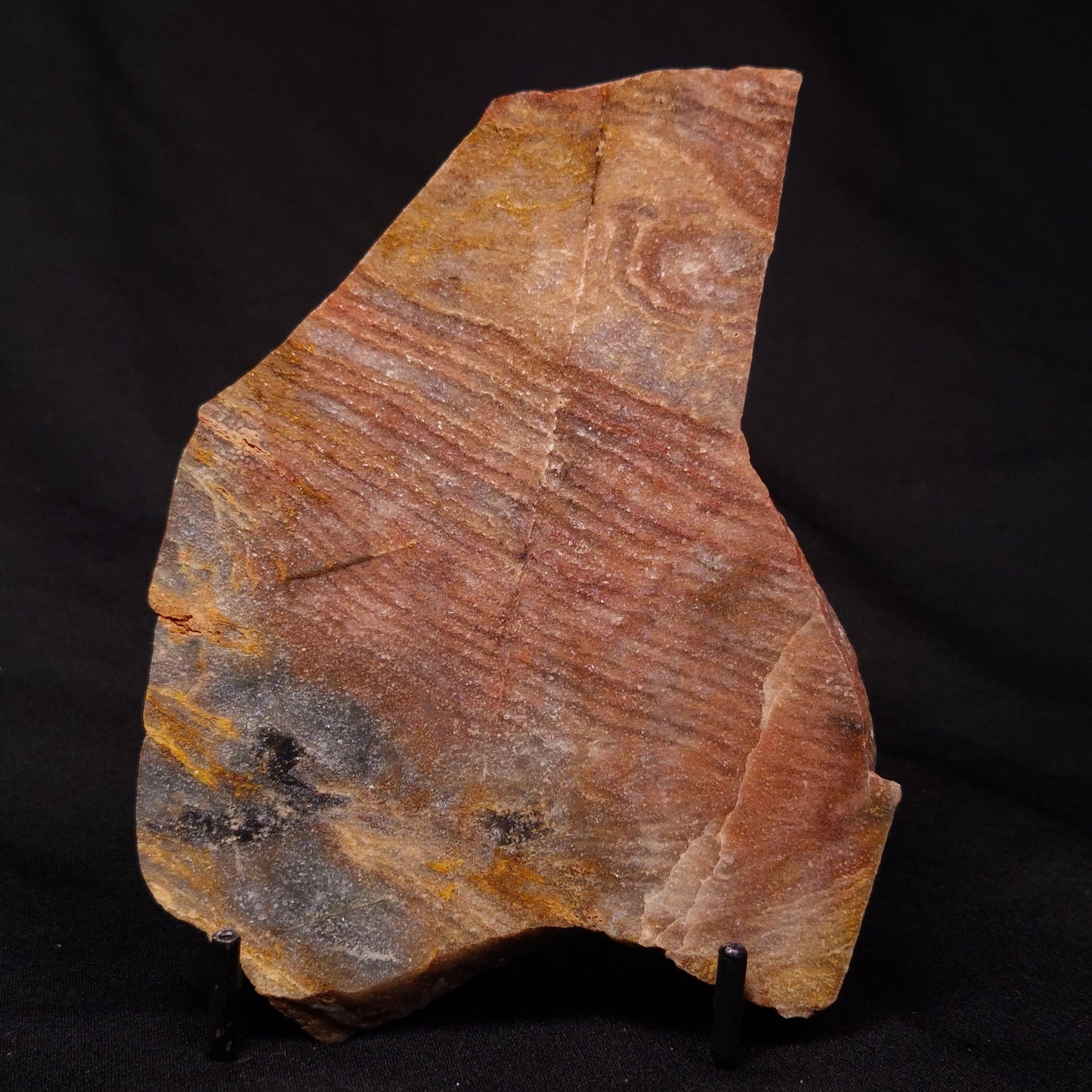 STROMATOLITE, Archean, Australia ZSL020