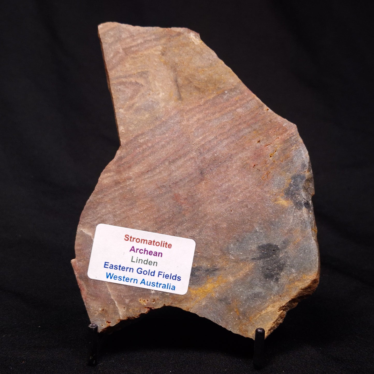 STROMATOLITE, Archean, Australia ZSL020