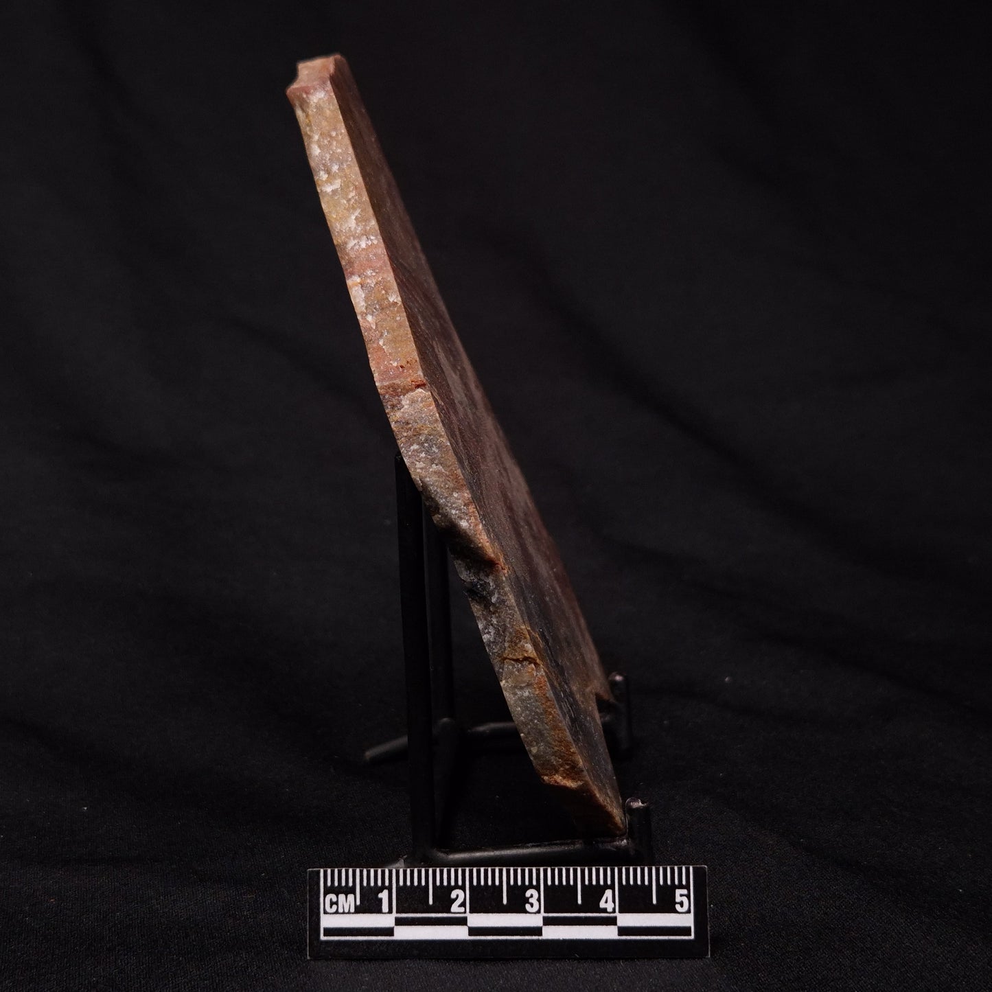 STROMATOLITE, Archean, Australia ZSL020