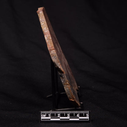 STROMATOLITE, Archean, Australia ZSL020