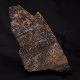STROMATOLITE, Archean, Australia ZSL021