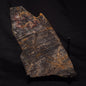 STROMATOLITE, Archean, Australia ZSL021