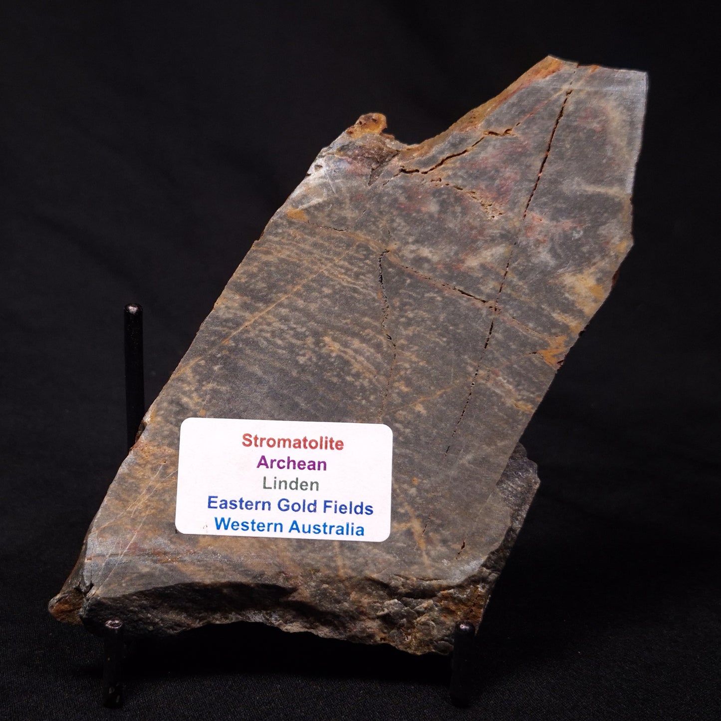 STROMATOLITE, Archean, Australia ZSL021