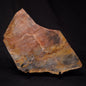 STROMATOLITE, Archean, Australia ZSL022